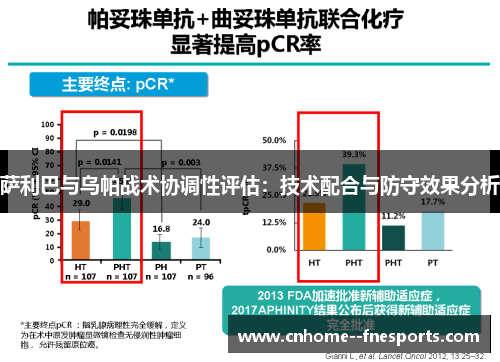 萨利巴与乌帕战术协调性评估:技术配合与防守效果分析 萨利巴与乌帕战术协调性评估:技术配合与防守效果分析