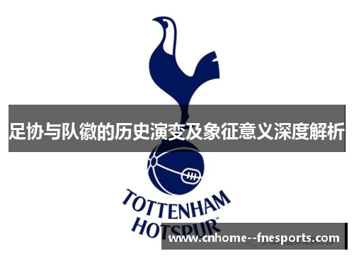 足协与队徽的历史演变及象征意义深度解析 足协与队徽的历史演变及象征意义深度解析